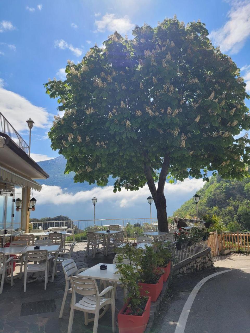 Hotel Panorama Riva del Garda Dış mekan fotoğraf